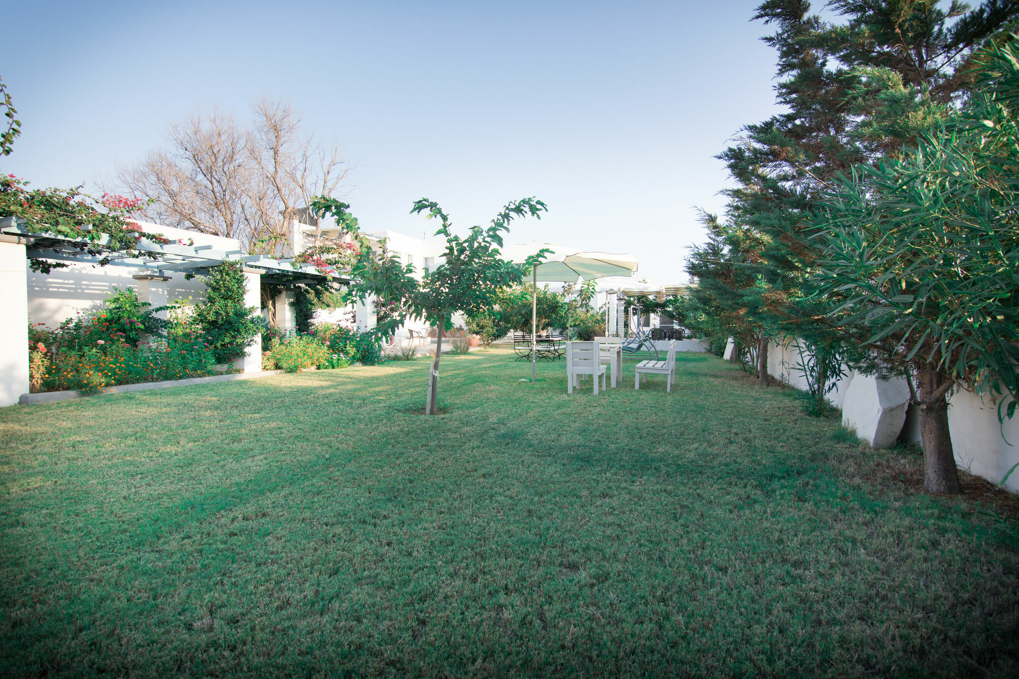 Kallisti Studios & Apartments Skyros Bagian luar foto