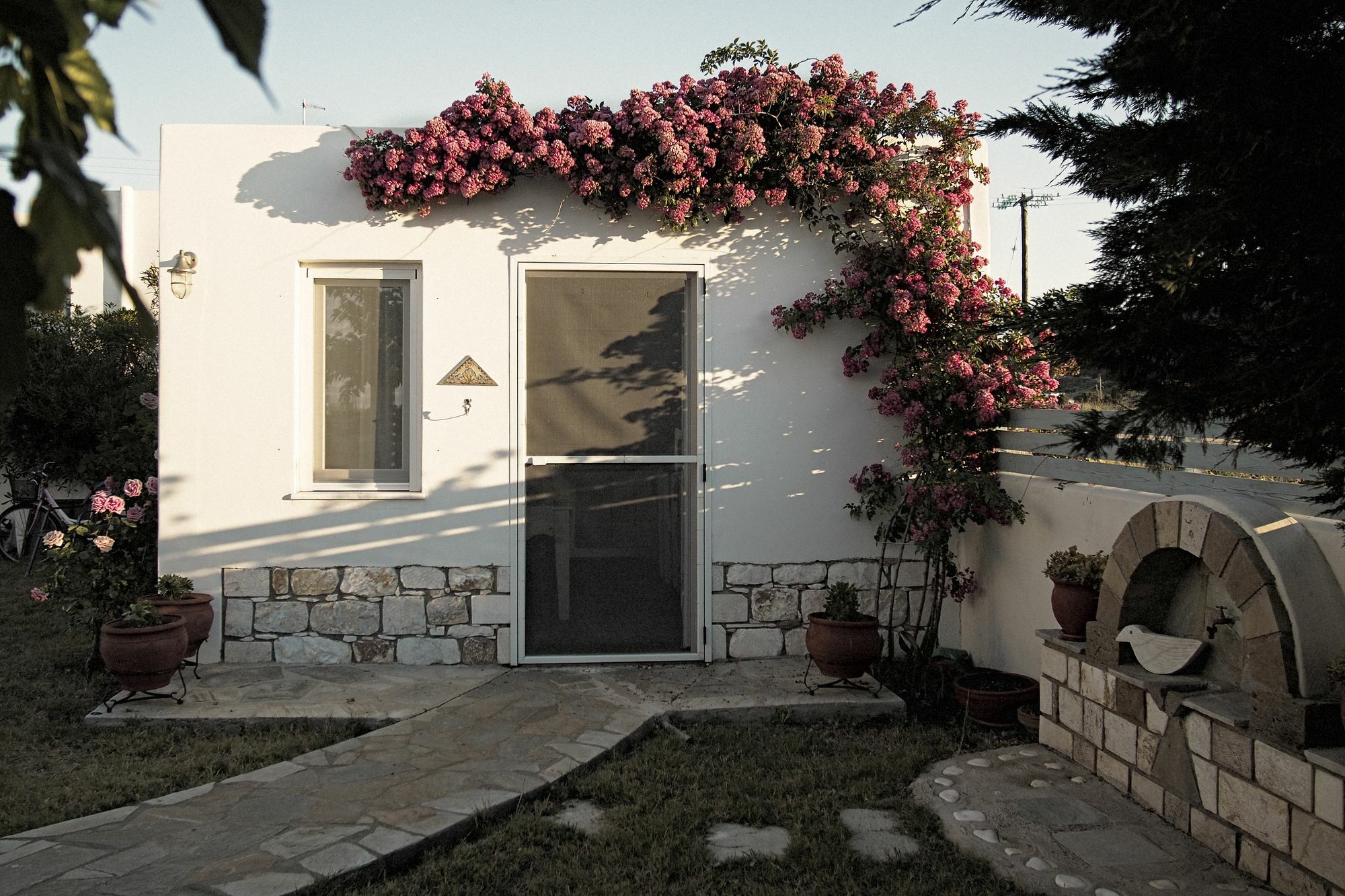 Kallisti Studios & Apartments Skyros Bagian luar foto